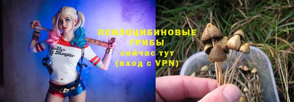 экстази Заводоуковск