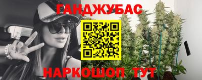 хмурый Кингисепп