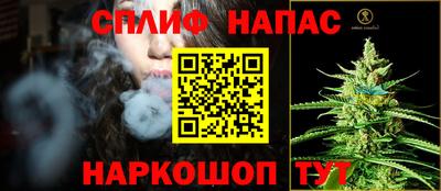 хмурый Кингисепп