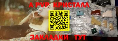 хмурый Кингисепп