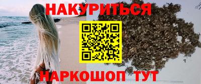 хмурый Кингисепп
