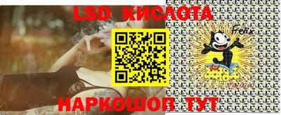 хмурый Кингисепп