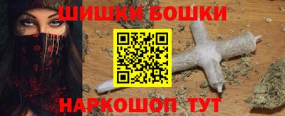 хмурый Кингисепп