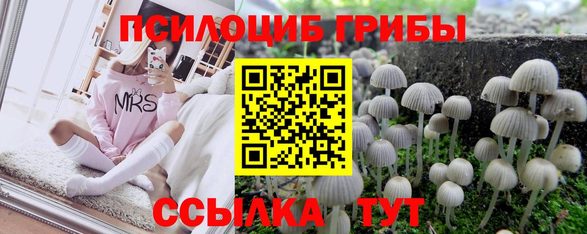 Галлюциногенные грибы GOLDEN TEACHER  даркнет сайт  Сегежа  Галлюциногенные грибы Cubensis  Вход с VPN 