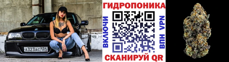 Канабис VHQ  Сегежа 
